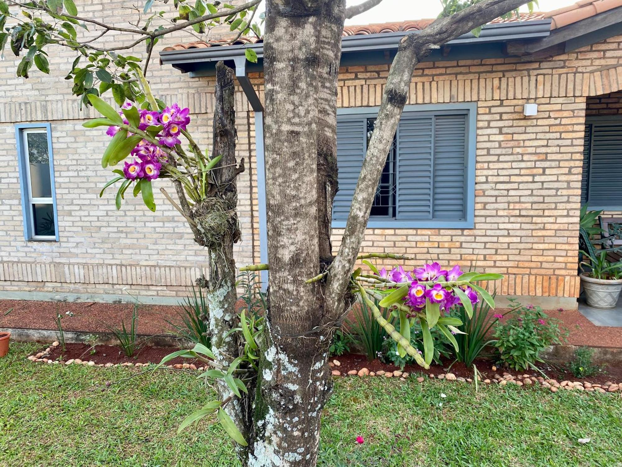 Moderna Y Unica Casa Independiente Con Jardin Y Estacionamiento Ciudad del Este Ngoại thất bức ảnh